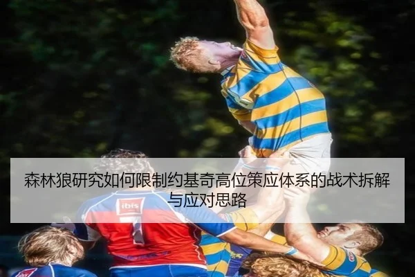 森林狼研究如何限制约基奇高位策应体系的战术拆解与应对思路
