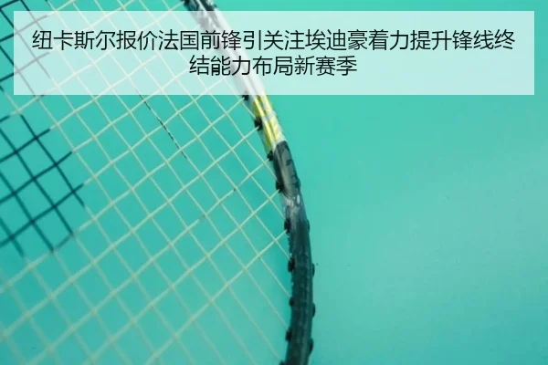 纽卡斯尔报价法国前锋引关注埃迪豪着力提升锋线终结能力布局新赛季
